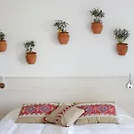 Casa Mama Mia 4*