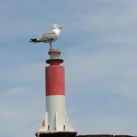 住宿加早餐酒店 Casa Mama Mia 4*