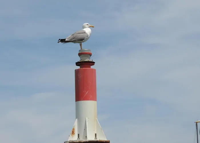 Couette-café Casa Mama Mia 4*